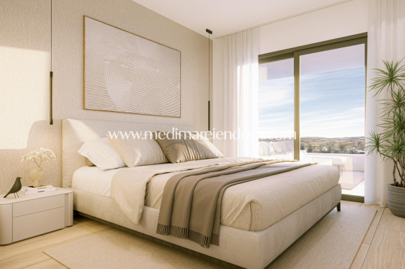 Nouvelle Construction - Penthouse - Torrevieja - La Hoya