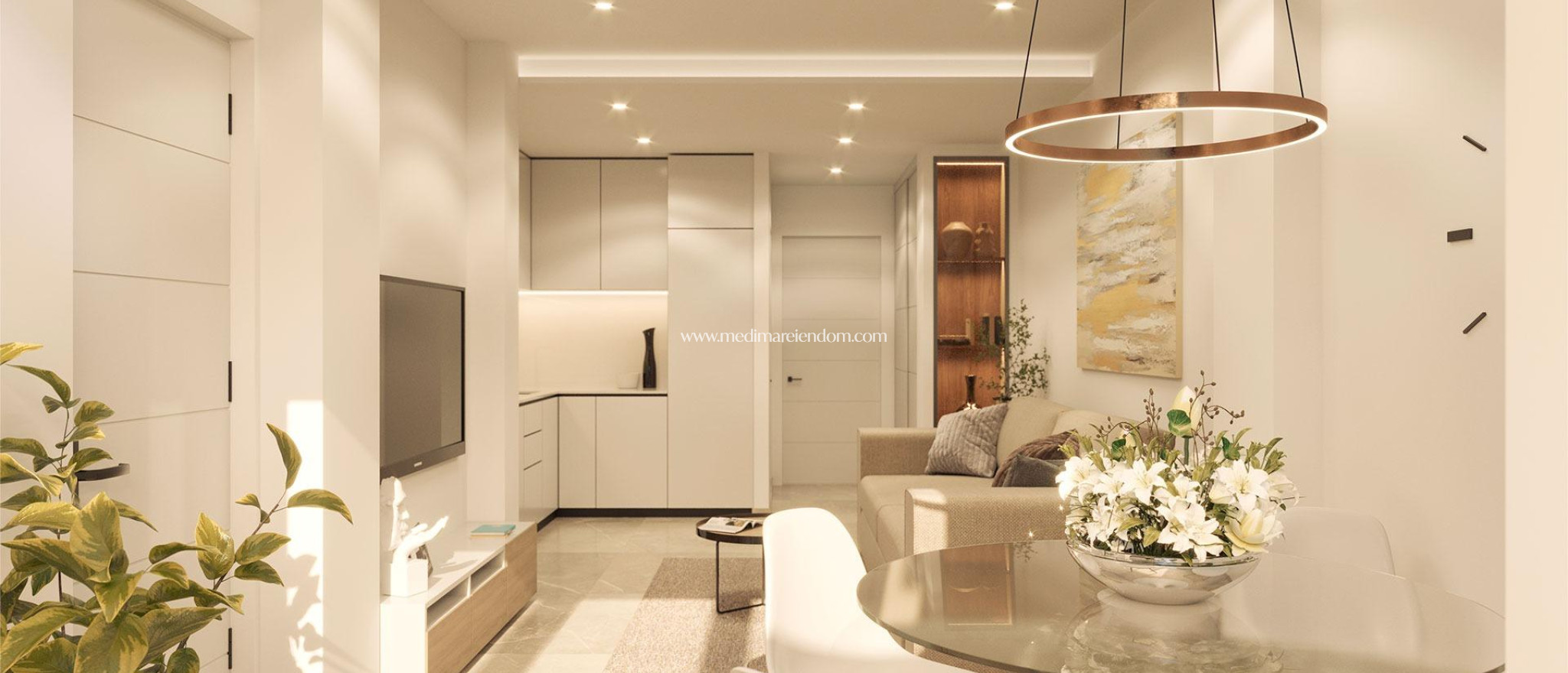 Nouvelle Construction - Penthouse - Torrevieja - Playa del Acequión