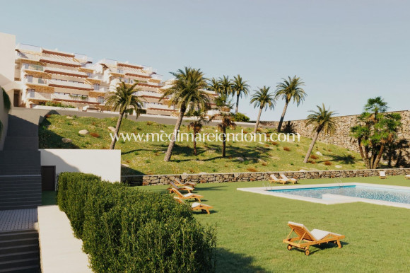 Nouvelle Construction - Penthouse - Vera - Vera Playa