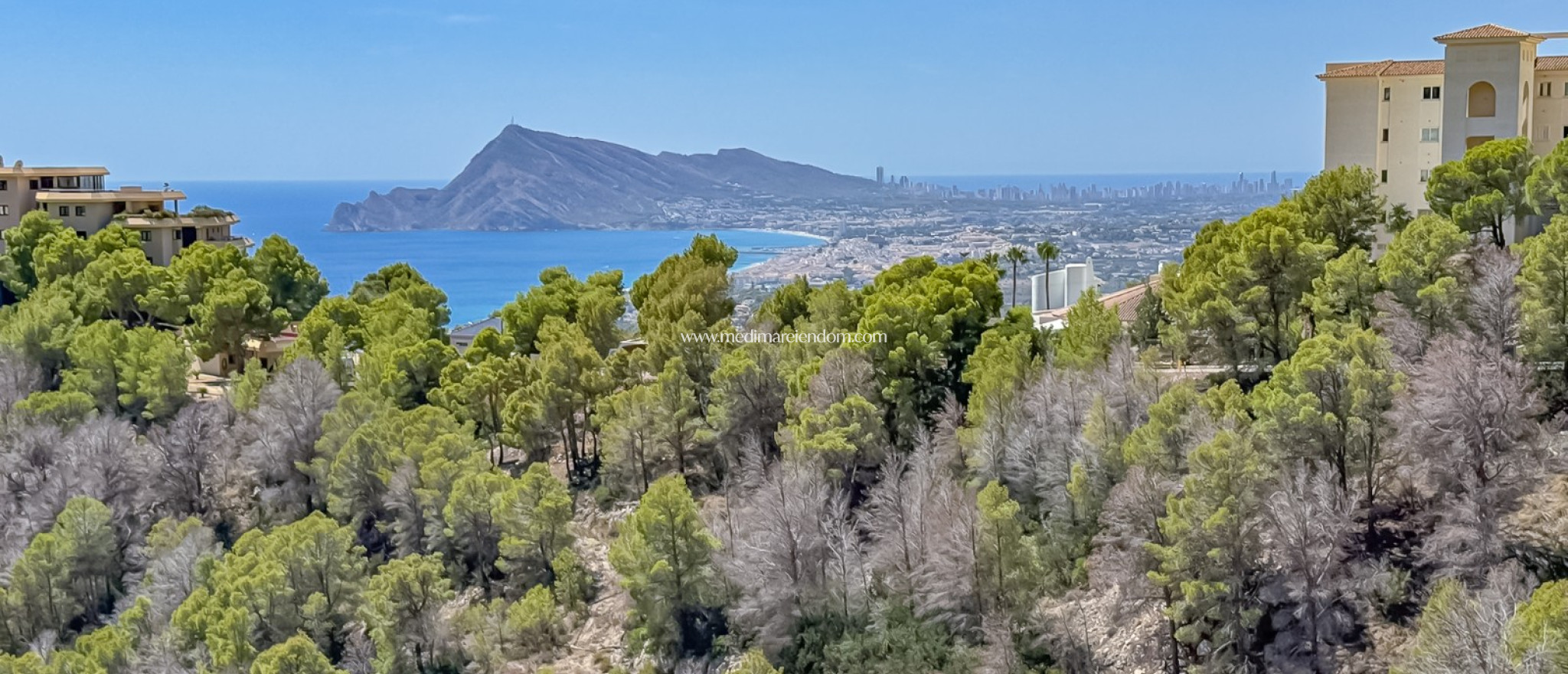 Nouvelle Construction - Villa - Altea