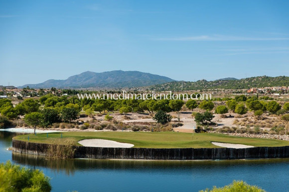 Nouvelle Construction - Villa - Banos y Mendigo - Altaona Golf