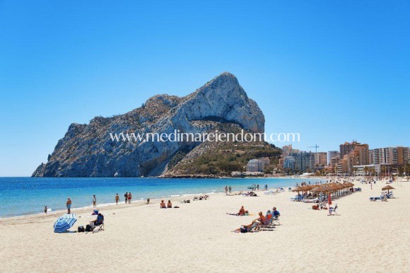 Nouvelle Construction - Villa - Calpe - Pla Roig