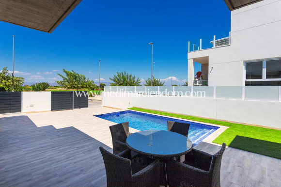 Nouvelle Construction - Villa - Daya Nueva
