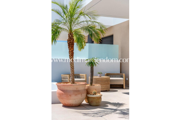 Nouvelle Construction - Villa - Dolores - Sector 3