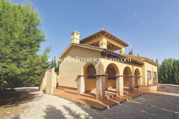 Nouvelle Construction - Villa - Fuente Alamo de Murcia - Las Palas