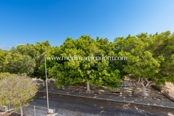Nouvelle Construction - Villa - Mil Palmeras