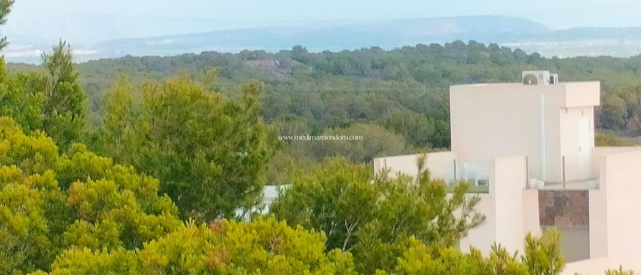 Nouvelle Construction - Villa - Orihuela Costa - Pau 26