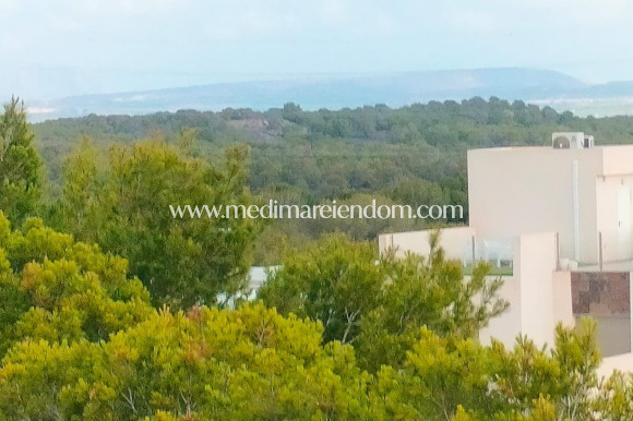 Nouvelle Construction - Villa - Orihuela Costa - Pau 26