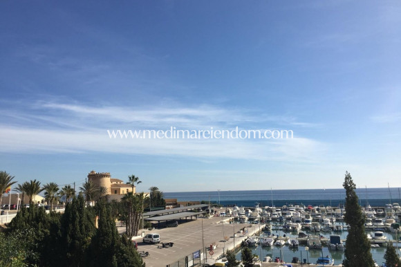 Nouvelle Construction - Villa - Pilar de la Horadada - La Torre De La Horadada