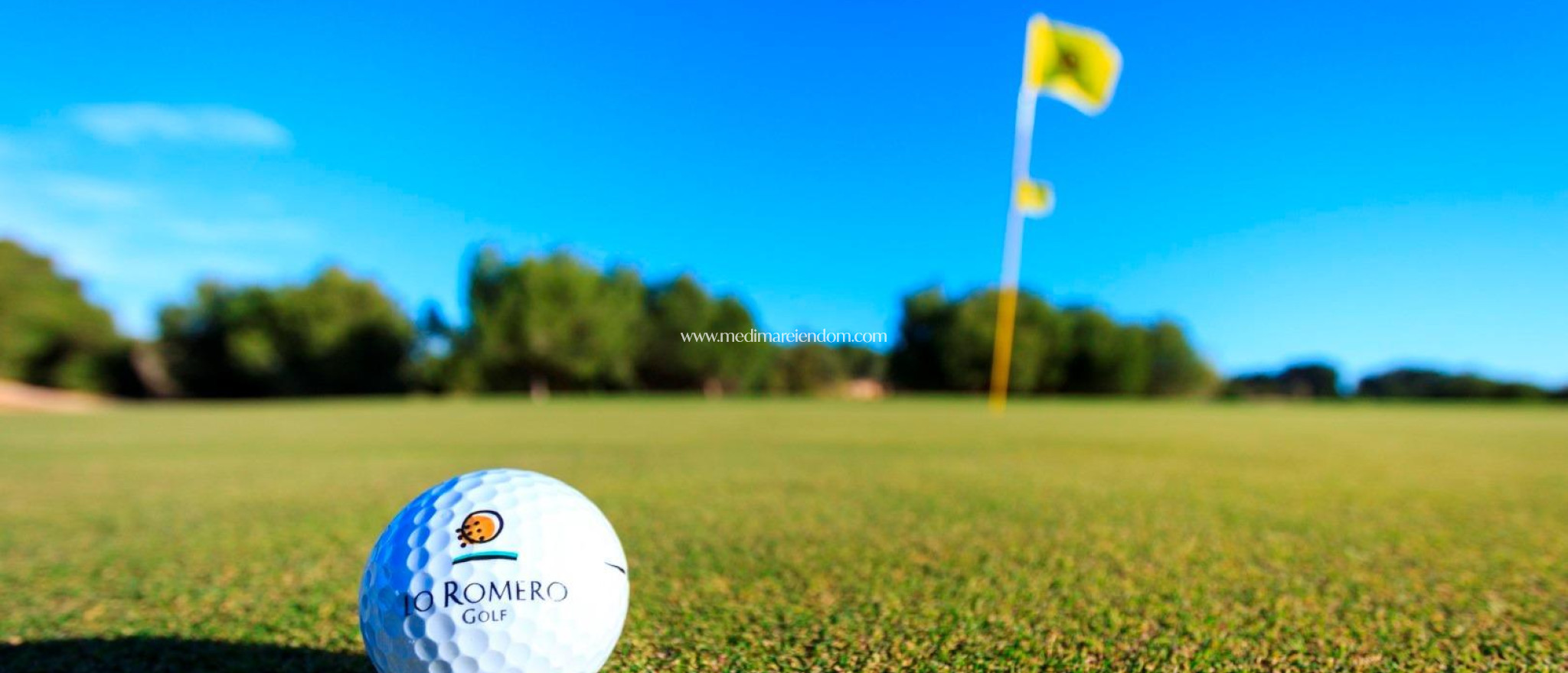 Nouvelle Construction - Villa - Pilar de la Horadada - Lo Romero Golf