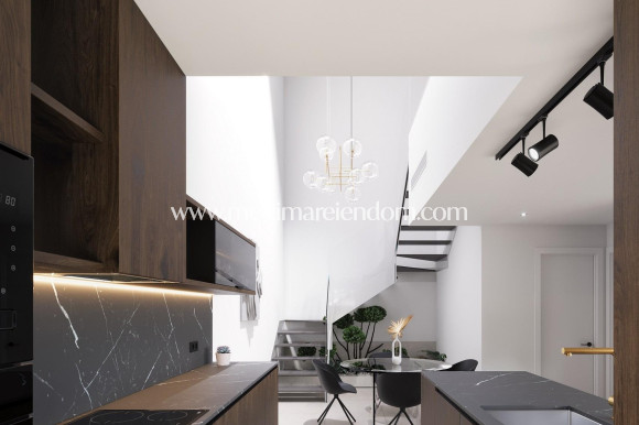 Nouvelle Construction - Villa - Pilar de la Horadada - parques de Andromeda