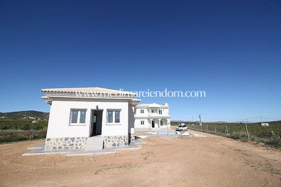 Nouvelle Construction - Villa - Pinoso - Camino Del Prado