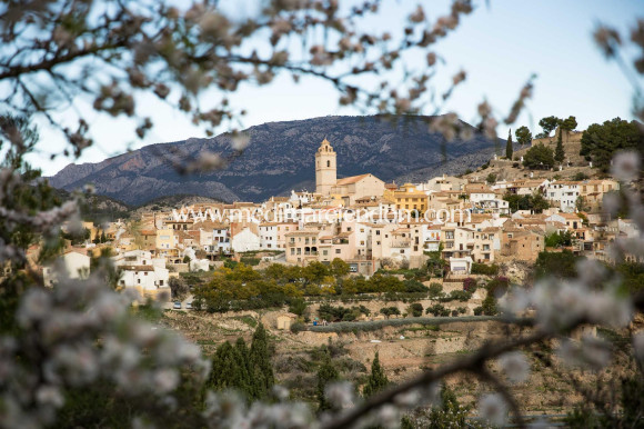 Nouvelle Construction - Villa - Polop - Polop Hills