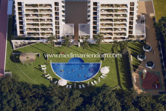 Новостройки - Апартаменты - Guardamar del Segura - Avda del Puerto