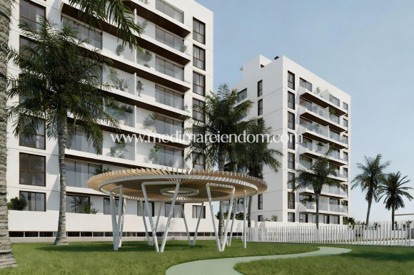 Новостройки - Апартаменты - Guardamar del Segura - Avda del Puerto