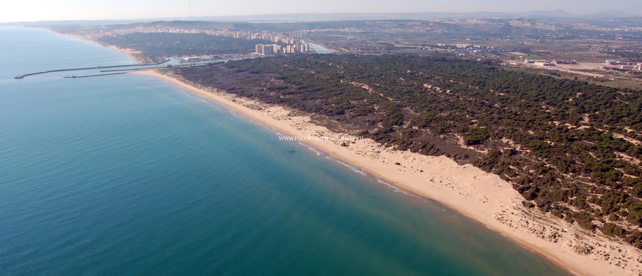 Новостройки - Апартаменты - Guardamar del Segura - Puerto