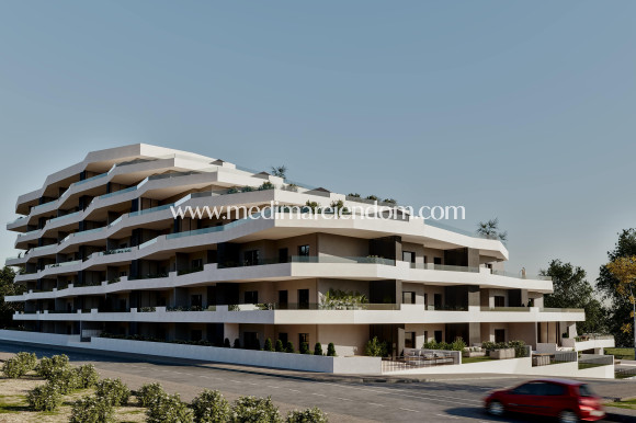 Новостройки - Апартаменты - San Miguel de Salinas