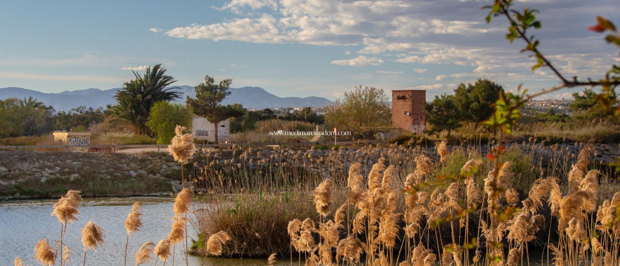 Новостройки - Bungalow - Guardamar del Segura - Guardamar Del Segura