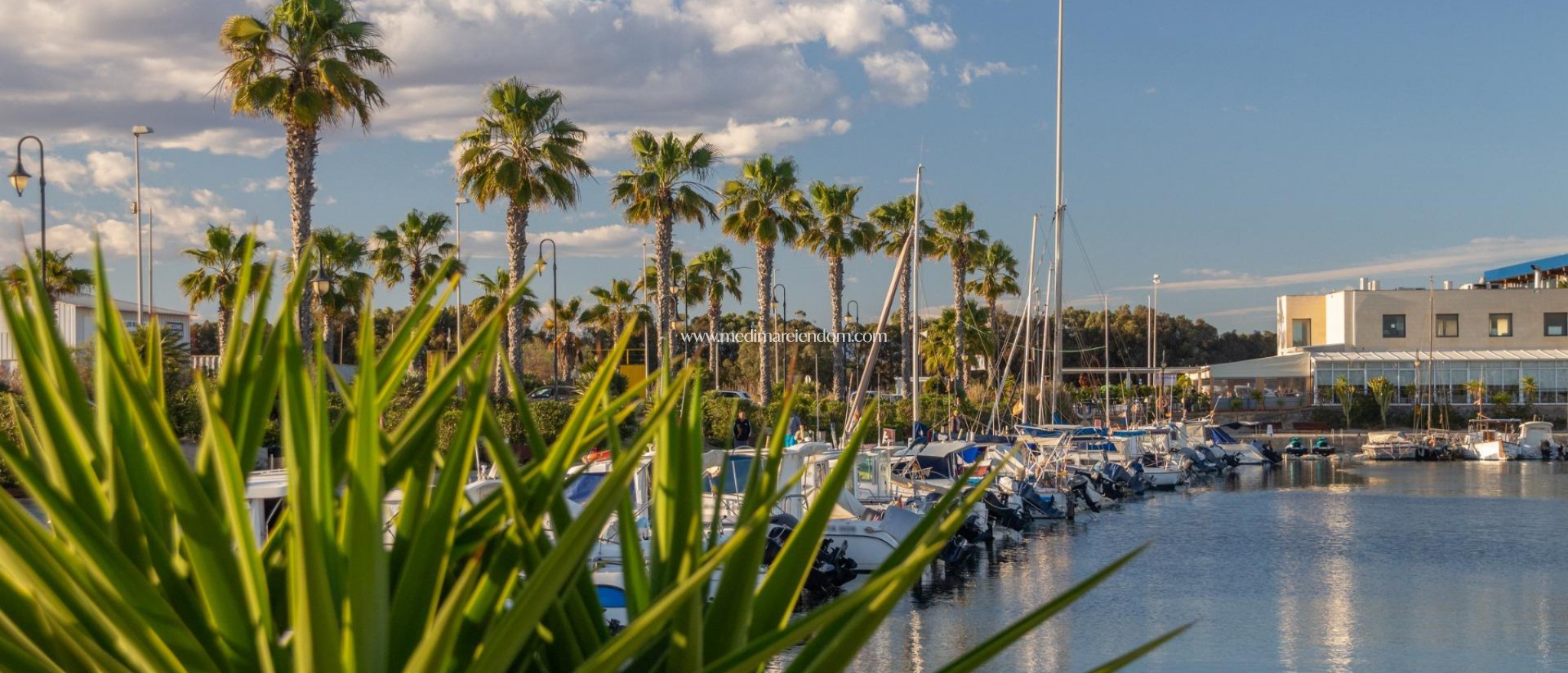 Новостройки - Bungalow - Guardamar del Segura - Guardamar Del Segura