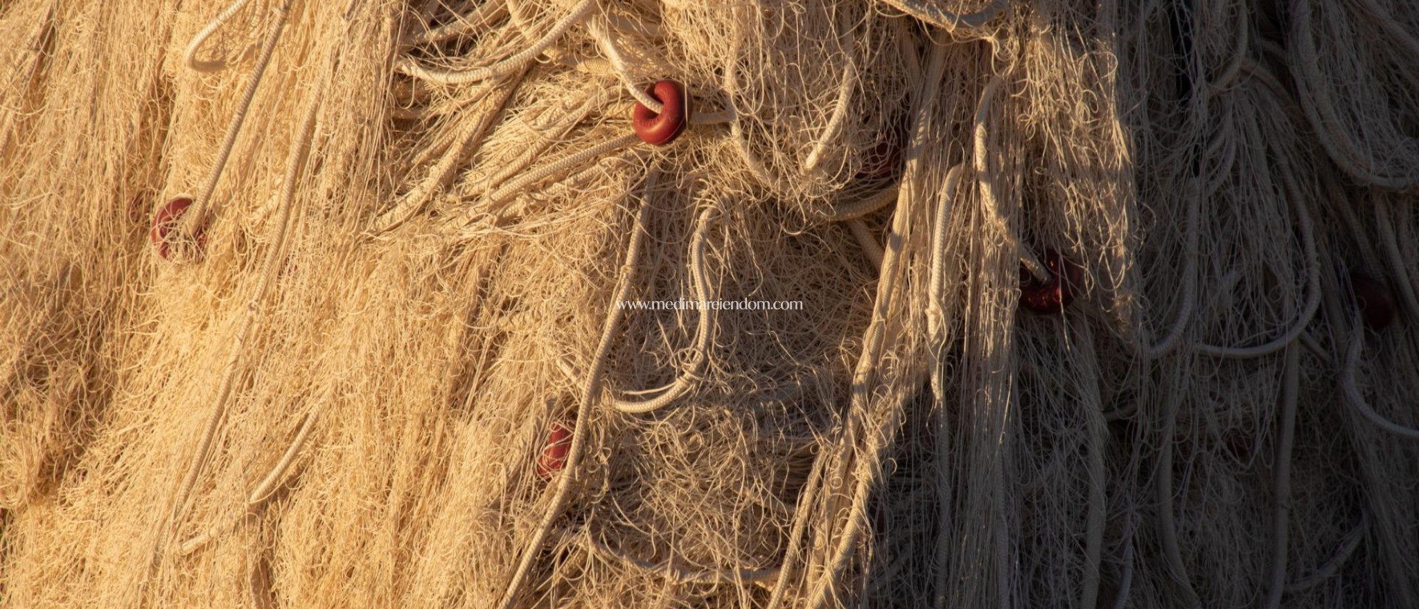 Новостройки - Bungalow - Guardamar del Segura - Guardamar Del Segura
