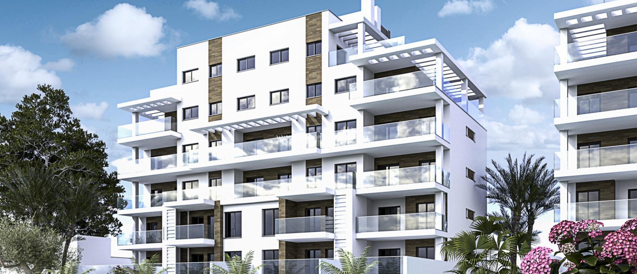 Новостройки - Bungalow - Pilar de la Horadada - Mil Palmeras