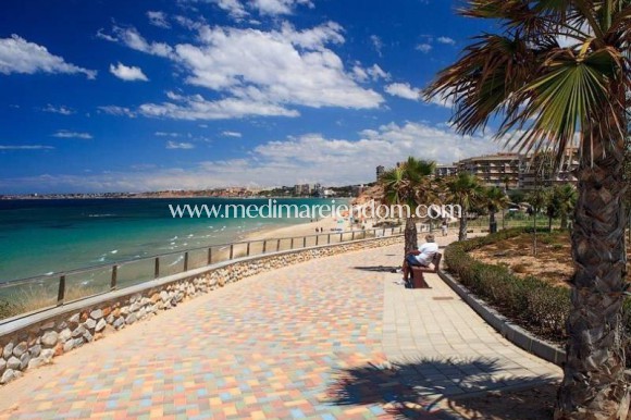 Новостройки - Bungalow - Pilar de la Horadada - Mil Palmeras