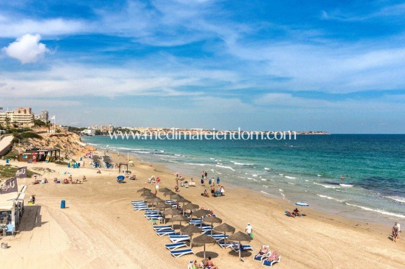 Новостройки - Bungalow - Pilar de la Horadada - Mil Palmeras