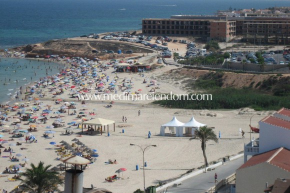 Новостройки - Bungalow - Pilar de la Horadada - Mil Palmeras