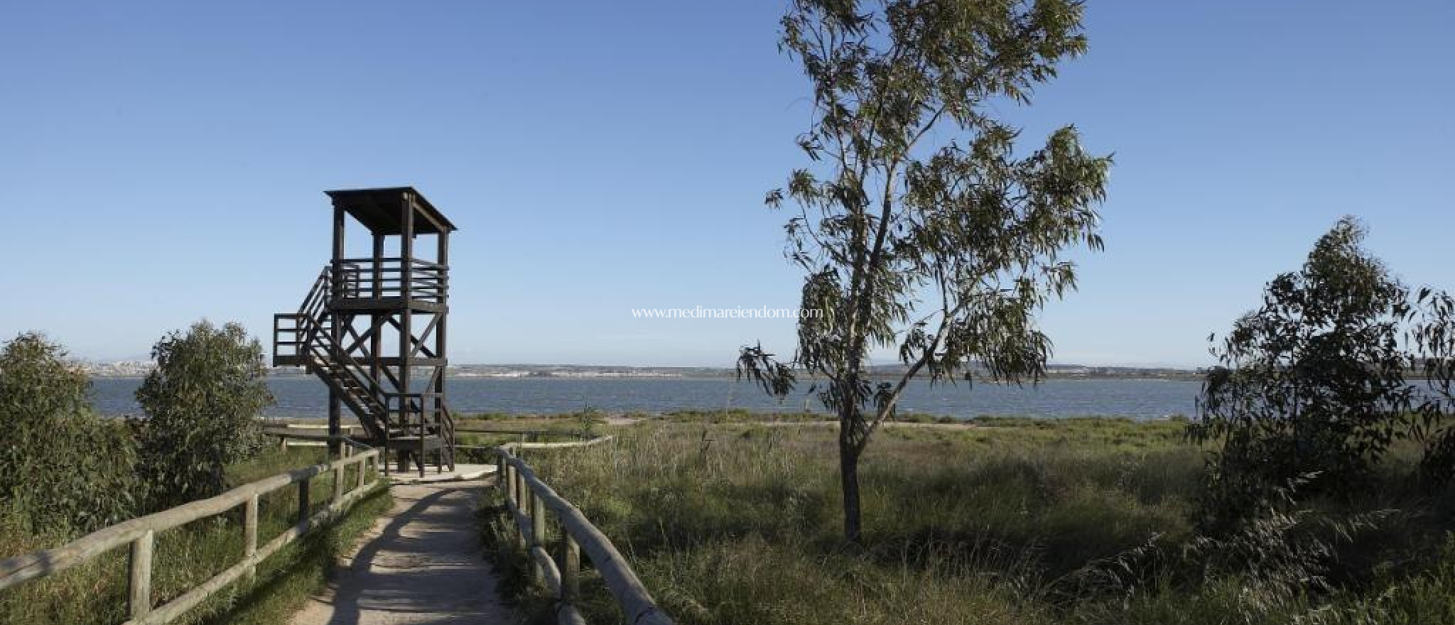 Новостройки - Bungalow - Torrevieja - Aguas Nuevas