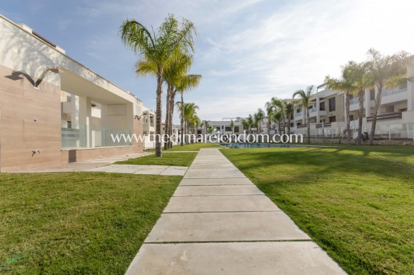 Новостройки - Bungalow - Torrevieja - Los Balcones