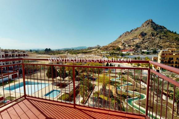 Новостройки - Penthouse - Archena - Villanueva del Rio Segura