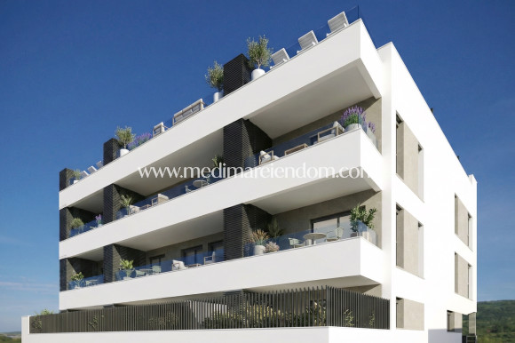 Новостройки - Penthouse - Benijofar - Benijófar