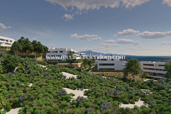 Новостройки - Penthouse - Casares