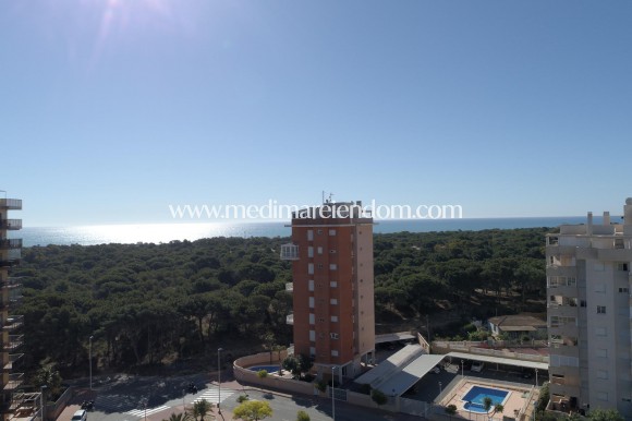 Новостройки - Penthouse - Guardamar del Segura - Pueblo