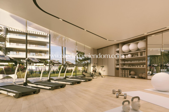 Новостройки - Penthouse - Torrevieja - La Hoya