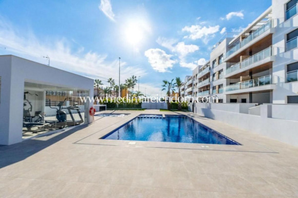 Новостройки - Penthouse - Torrevieja