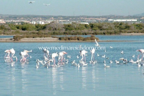 Новостройки - Quad House - San Pedro del Pinatar - Las Esperanzas