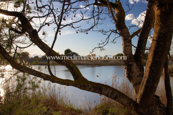 Новостройки - Таунхаусы - Guardamar del Segura - Guardamar Del Segura