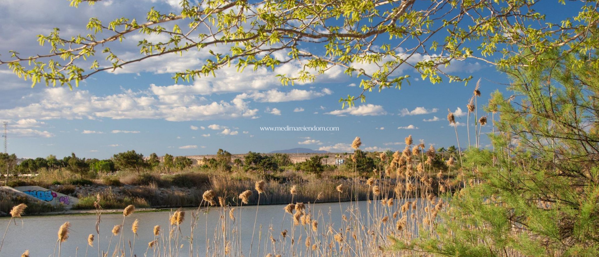 Новостройки - Таунхаусы - Guardamar del Segura - Guardamar Del Segura