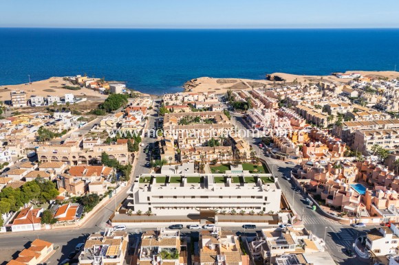 Новостройки - террасный - Torrevieja
