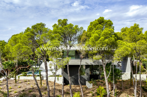 Новостройки - Виллы - Altea