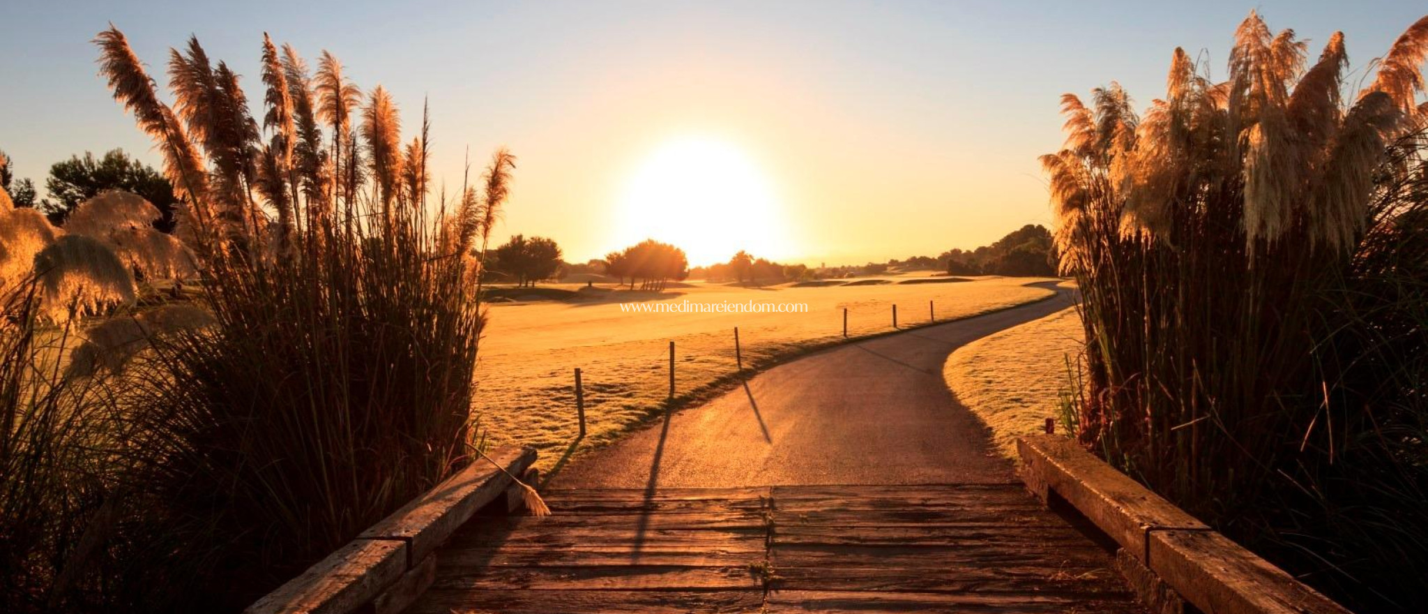 Новостройки - Виллы - Pilar de la Horadada - Lo Romero Golf