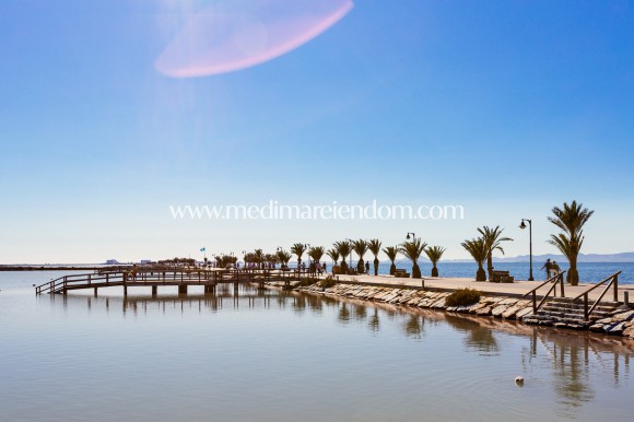 Новостройки - Виллы - Pilar de la Horadada