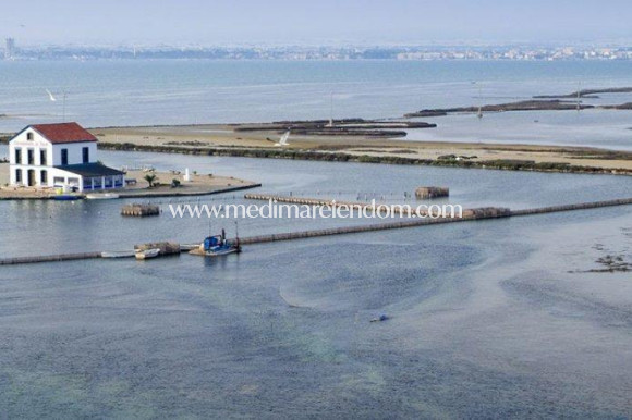 Новостройки - Виллы - San Pedro del Pinatar - Centro