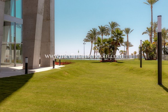 Nowo zbudowane - Apartament - Benidorm - Poniente