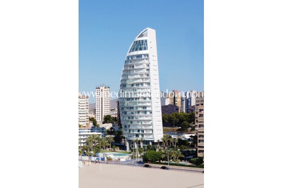 Nowo zbudowane - Apartament - Benidorm - Poniente