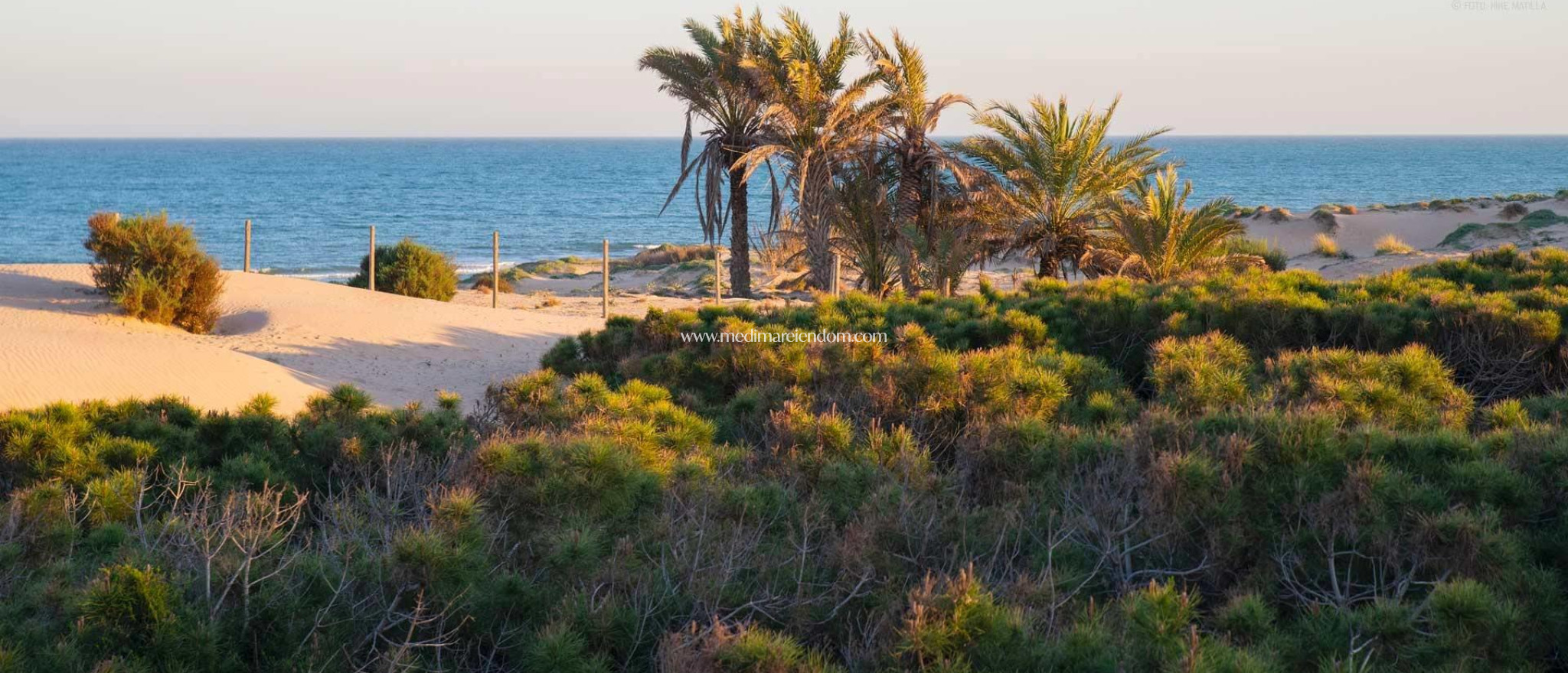 Nowo zbudowane - Apartament - Guardamar del Segura - Avda del Puerto