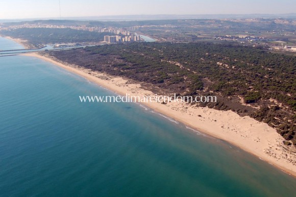 Nowo zbudowane - Apartament - Guardamar del Segura - Puerto