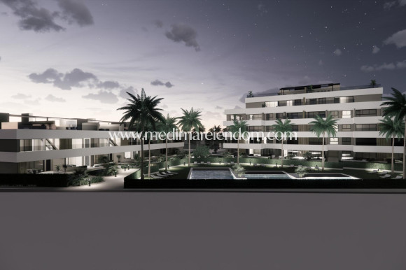 Nowo zbudowane - Apartament - Torre Pacheco - Santa Rosalía