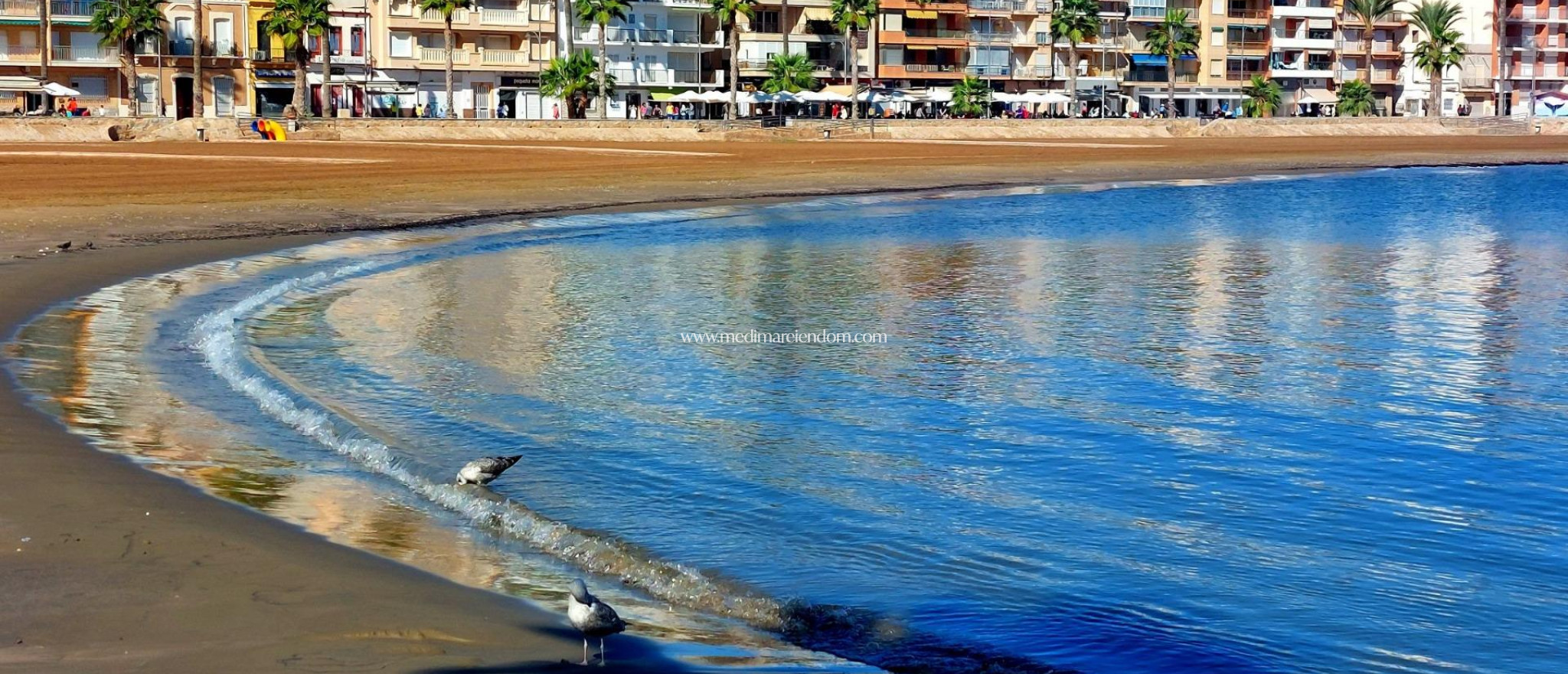 Nowo zbudowane - Bungalow - Fuente Álamo - La Pinilla